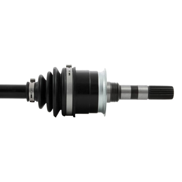 Kawasaki Bayou 300/400